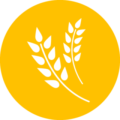 orange-agriculture-icon-png-0